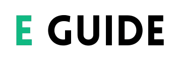 Elmiguide Logo